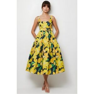 Anthropologie 18W Hutch Scoop Neck Belted Midi Dress 2X NWT